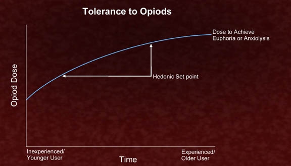 A graph that shows the relationship between the tolerance to Opioids and the Hedonic Set point. The x-axis of the graph represents the time period while the y-axis represents the dose to achieve euphoria or anxiety.<br /><br />There are two lines on the graph one labeled "Opioid Dose" and the other labeled "Dose to Achieve Euphoria or Anxiety". The line on the left represents the experienced/ Younger User which is represented by a blue curve. The line in the middle represents the hedonic set point which represents the expected/ experienced/ older user. The graph also has a red arrow pointing to the left indicating the direction of the dose. The background of the image is maroon in color.