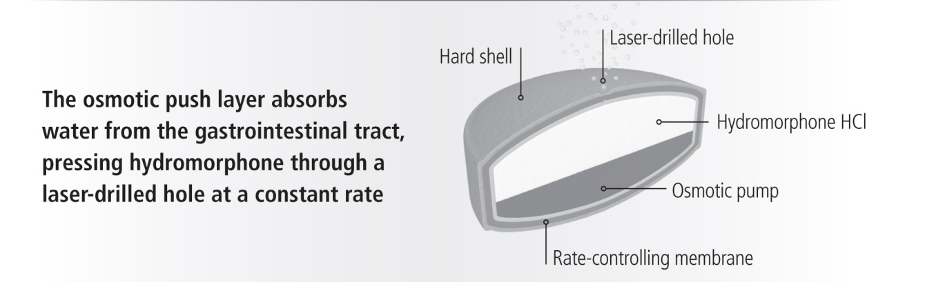 A diagram of an osmotic push layer which absorbs water from the gastrointestinal tract pressing hydromorphone through a laser-drilled hole at a constant rate. The image shows a hard shell a laser drilled hole and a hydromorphone HCI (Hydromorphone HCI) pump. The Osmotic pump is a rate-controlling membrane which is used to control the flow of water through the hole. The hard shell is a type of hard shell that helps to absorb the water from a gastrointestinal tract. The water is then pressed through the hard shell to release the water into the hole which then releases it into the membrane.