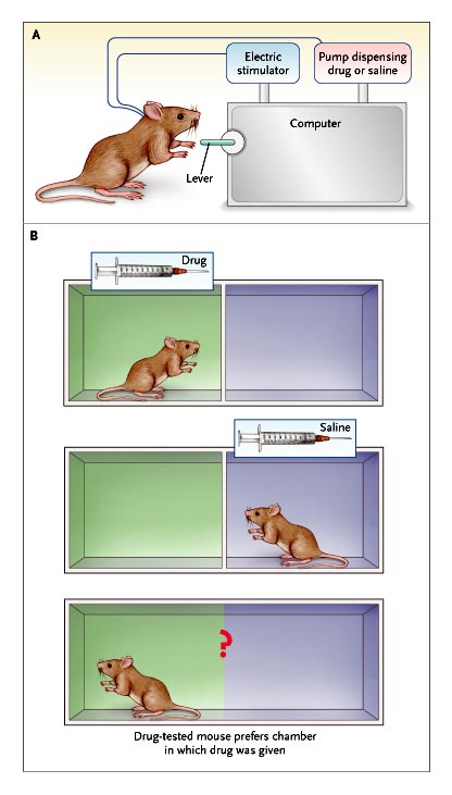 A diagram that shows a mouse interacting with a lever attached to a computer with a pump dispensing either a drug or saline.<br /><br />The drug-tested mouse prefers the chamber in which the drug was given.