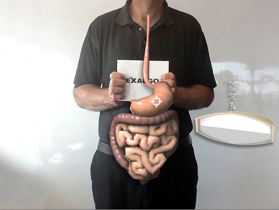 A man standing in front of a white background. He is wearing a black polo shirt and is holding a small model of the human digestive system in his hands. The model is made up of various organs including the large intestine and the small intestine. The man is also holding a white card with the word "Exalgo" written on it. On the right side of the image there is a small oval-shaped object that appears to be a lightbulb.