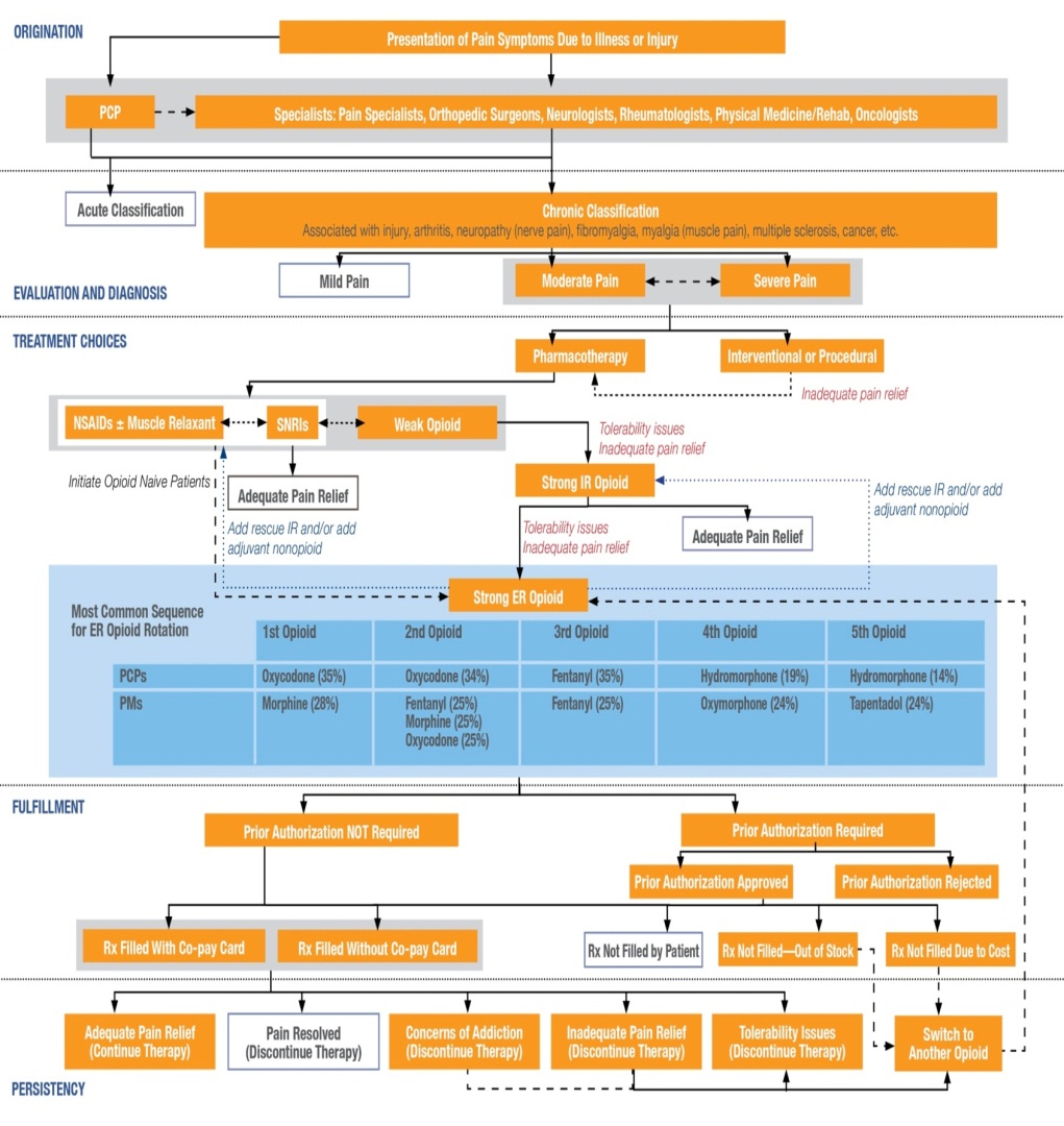 A flowchart that shows the process of treatment options for pain relief. It is divided into three sections each representing a different treatment option.<br /><br />The first section is titled "Evaluation and Diagnosis Treatment Options" and it shows the different treatment options available. The first section has a list of options such as "Acute Classification" "Mild Pain" "Chronic Classification" and "Treatment Options". The second section has options like "Treatments" and "Fulfillment". The third section has an option to "Prior Authorization Required".<br /><br />At the bottom of the flowchart there is a section titled "Persistence" which provides further information about the treatment options. The flowchart also includes a brief description of each option and a link to a website for further information. The background of the image is white and the text is black.