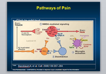 A diagram that shows the pathways of pain. It is divided into two sections. The top section is titled "Pathways of Pain" and has a title that reads "Click to add text". Below the title there is a description of the pathway. The diagram shows the different types of pain that can occur in the brain. The first section is labeled "Brain Touch" and shows a neuron with a red arrow pointing towards it. The second section is labelled "NMDMA-mediated signaling". The neuron is represented by a blue circle with a white arrow pointing to it indicating that it is a neuron. The red arrow is pointing towards the neuron indicating the direction of the signal. The diagram also shows a purple circle with the words "Brain Pain" written on it representing the signal that signals the brain's pain. At the bottom of the diagram there are two bullet points that explain the pathway and how it can be used to treat it. These bullet points explain that the neuron can be affected by a variety of factors such as inflammation pain and inflammation.