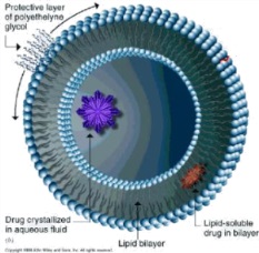 A diagram that shows the structure of a drug crystallized in aqueous fluid. The diagram is circular in shape and has a blue background. In the center of the diagram there is a purple flower-like structure that appears to be made up of small circular cells. The cells are arranged in a radial pattern with the outermost cell being the largest and the innermost being the smallest. <br /><br />On the left side of the image there are two arrows pointing towards the center one labeled "Protective layer of polyethylene glycol" and the other labeled "Lipid-soluble drug in bilayer". On the right side there appears to have a red-colored substance possibly a drug which is likely a bilayer.<br /><br />The image also has text that explains that the drug crystallizes in aqueous fluid which helps to protect the surface of the glycol from damage caused by the drug.