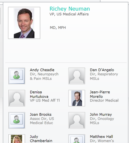 A screenshot of a list of medical professionals named richer newman VP US Medical Affairs. The list is divided into six columns each representing a different medical professional. The first column is for Andy cradle MD MPH and the second column is from Dan angelo Director Respiratory mils. The third column is titled "denise Hurtukova VP US Med Aff TI" and lists the names of the medical professionals. The fourth column is labeled "Joan Brooks Associate Dr. US Medical Educator Judy Chamberlain Matthew Hall Director of woman's Medical". The fifth column is numbered "John Murray Dr. Oncology mils". At the top of the list there is a heading that reads "richer Newman VP USA Medical Affairs". Below the heading there are two rows of names one for Andy and one for Dan. The names are written in black text and are arranged in a grid-like format. The background of the image is white.
