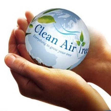 A hand holding a small globe with the words "Clean Air Tree" written on it. The globe is blue and white in color and has a green leaf design on top. The text on the globe reads "Everything to grow your tree". The background is white and the hand is positioned in a way that the globe is resting on the palm of the hand. The image conveys the concept of clean air and the importance of taking care of one's environment.