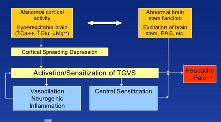 A flowchart that shows the process of activating/sensitization of TGVS (General Sensitization) in the brain. The flowchart is divided into four sections each representing a different stage of the process. The first section is labeled "Abnormal cortical activity" and shows the hyperrexcitable brain (TCa++ tolu LMG+) activity. The second section is titled "Excitation of brain stem PAG etc." The third section is labelled "Cortical Spreading Depression" and has a label that reads "Activation/sensitization of tv's". The fourth section is called "Vasodilation Neurogenic Inflammation" and is labeled as "Central sensitization". There is also an arrow pointing to the first section indicating that the flowchart can be used to explain the process in detail. The first section has a description of the activity which states that it is an abnormal cortical activity that occurs when the brainstorm function is excited and the excitation of the brain stem is activated. The final section has an explanation of the central sensitization which is a type of inflammation that occurs in the head and neck area of the body.
