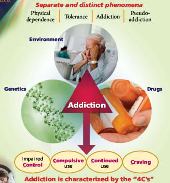 An infographic that explains the concept of addiction. It is divided into three sections.<br /><br />The first section is labeled "Physical Dependence" and shows an elderly man with his head in his hands indicating that he is struggling with addiction. The second section is titled "Tolerance" and has a red arrow pointing to the word "Addiction". The third section has a green circle with the words "Environment" and "Genetics" written on it. The fourth section has an image of a hand holding a bottle of drugs representing the concept. The fifth section has the text "Impaired Control" and a picture of a person with their head in their hands representing impaired control. The sixth section has text that reads "Compulsive use" and the seventh section has "Continued use" with the text that says "Cravings".<br /><br />Overall the image conveys the idea that addiction is characterized by the "4C's".