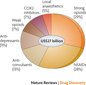 A pie chart that shows the market share of various drug categories in the United States totaling $27 billion dollars in sales during an unspecified time frame. Strong opioids (29%) NSAIDs (28%) Anti-convulsants (13%) Anti-depressants (11%) Weak opioids (7%) COX2 inhibitors (7%) and Local anaesthetics (5%) are all represented.