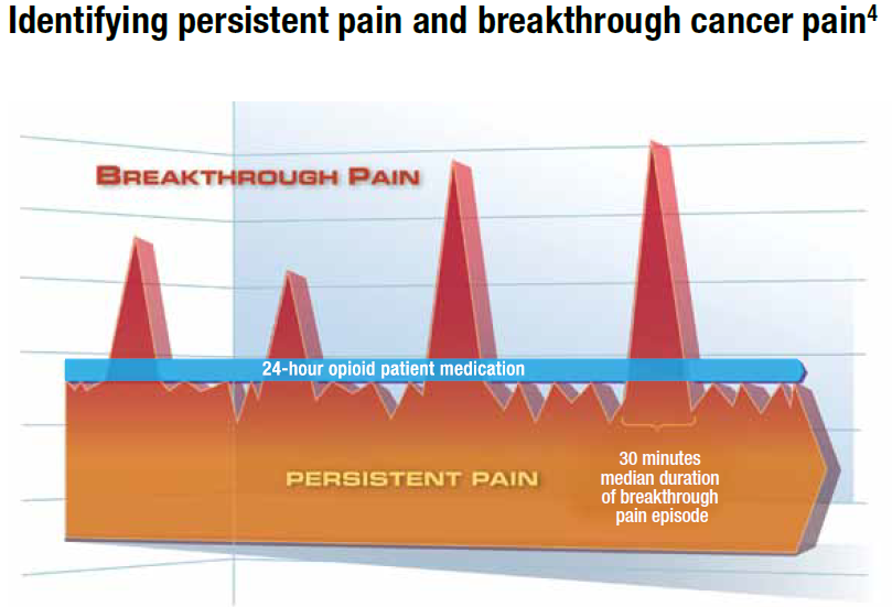 A bar graph that shows the number of patients who have been diagnosed with persistent pain and breakthrough cancer pain. The x-axis of the graph is orange and the y-axis is red. The graph shows that 24-hour opioid patient medication has been used to treat persistent pain with 30 minutes of medication duration of breakthrough pain episode.<br /><br />There are three red bars on the graph each representing a different period of time. The first bar is labeled "Breakthrough Pain" and the second bar is labeled "Persistent Pain". The third bar is colored orange and has a blue line representing the duration of the medication. The fourth bar is color-coded with the first bar representing the 24-Hour Opioid patient medication and the last bar representing 30 minutes. The fifth bar is red and has the word "PERSISTENT PAIN" written on it. The background of the image is white.