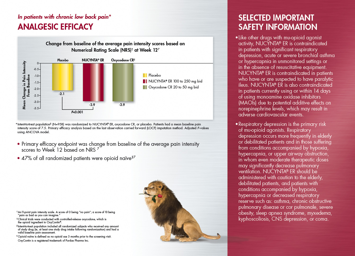 An advertisement for Nucynta ER. It includes an infographic that compares the analgesic efficacy of a placebo Nucynta ER and Oxycodone CR in patients with chronic low back pain. It has a white and red background with red black and white text. <br /><br />There is "Selected Important Safety Information" on the right side. There is a picture of a lion with a rose in its mouth on the bottom towards the middle.