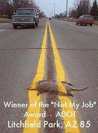 A road with two yellow lines on it. On the left side of the road there is a black pickup truck parked on the side. In the center of the image there are two dead animals lying on the ground. The animals appear to be dead and are lying on their sides. The text on the image reads "Winner of the "Not My Job" Award - ADOT Litchfield Park AZ 85". The background shows a grassy field and trees.