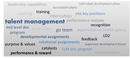 A word cloud that represents the concept of talent management. The word cloud is divided into different categories such as leadership capabilities training success plans site key positions performance reviews recognition organizational health survey LD2 purpose & values catalysts FLM dev program performance & reward and compensation. The categories are arranged in a grid-like pattern with each category represented by a different color. The background of the image is white.