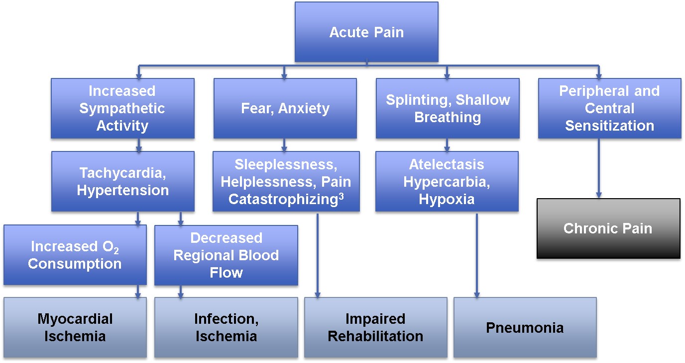 A flowchart that shows the different types of acute pain and chronic pain. It is divided into two sections one labeled "Acute Pain" and the other labeled "Chronic Pain". <br /><br />The first section of the flowchart shows the increased sympathetic activity of the acute pain which is represented by a blue box with the words "Increased Sympathetic Activity" written in white text. The second section shows the severity of the pain including fear anxiety splinting shallow breathing peripheral and central sensitization tachycardia hypertension sleeplessness helplessness pain catastrophizing atelectasis hypercarbia hypoxia decreased regional blood flow myocardial ischemia infection ischemia impaired rehabilitation and pneumonia.<br /><br />Overall the image shows that acute pain can be caused by a variety of factors such as increased blood flow and increased consumption.