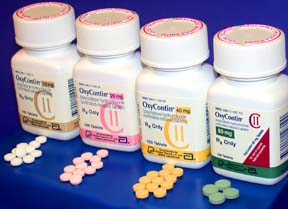 Four white plastic bottles with white lids arranged in a row on a blue background. The bottles are labeled with the brand name "OxyContin". There are also a few pills in different colors in front of each bottles including white pink yellow and green.