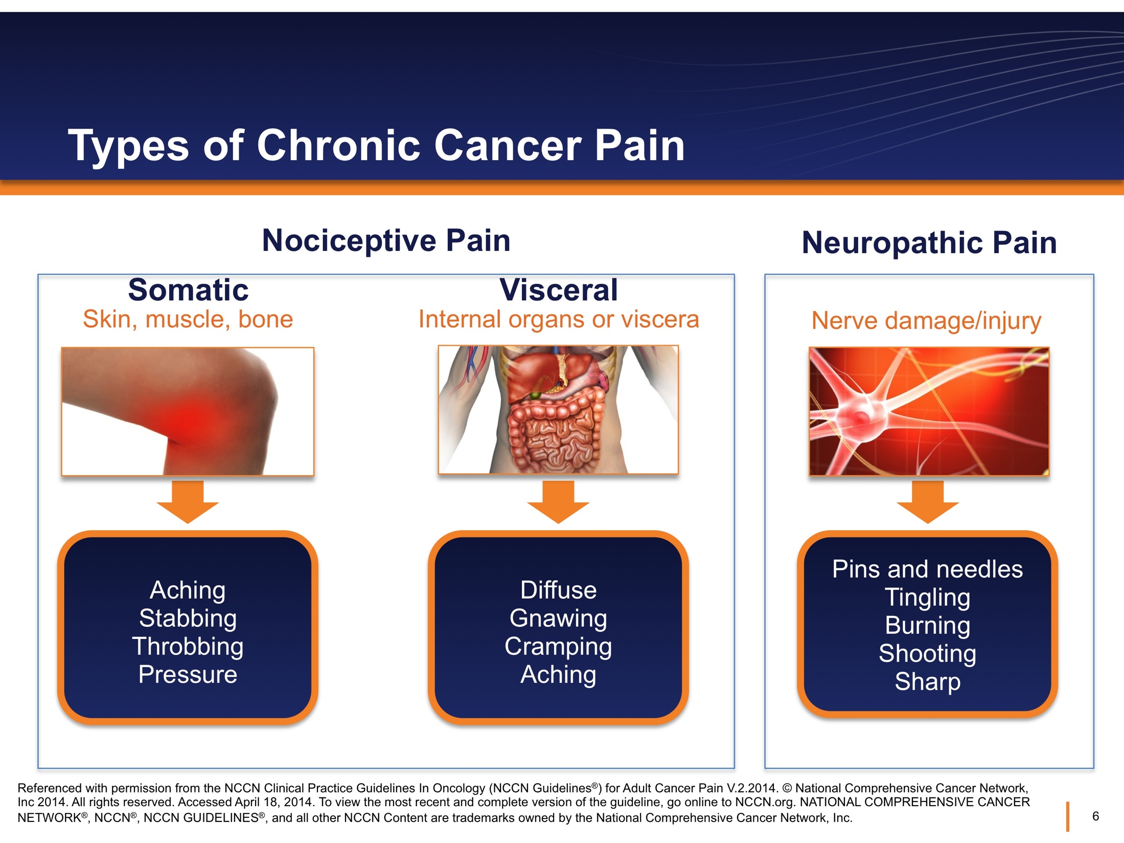 A diagram that explains the different types of chronic cancer pain. It is divided into three sections.<br /><br />The first section is titled "Types of Chronic Cancer Pain" and it explains that somatic skin muscle bone and nerve damage/injury can be caused by aching stabbing and throbbing pressure. The second section is labeled "Visceral" and shows the internal organs or visceral of the brain. The third section is labeled "Neuropathic Pain".<br /><br />There are three arrows connecting the three sections each representing a different type of pain. The first arrow is pointing to the left side of the image indicating that the pain is caused by an aching or stabbing pressure the second arrow points to the right side and the third arrow points towards the right. The arrows are labeled "Pins and needles tingling burning shooting sharpening and sharpening."<br /><br />Overall the image is meant to illustrate the various causes and symptoms of chronic pain and how they can affect the overall health and wellbeing of those affected by it.