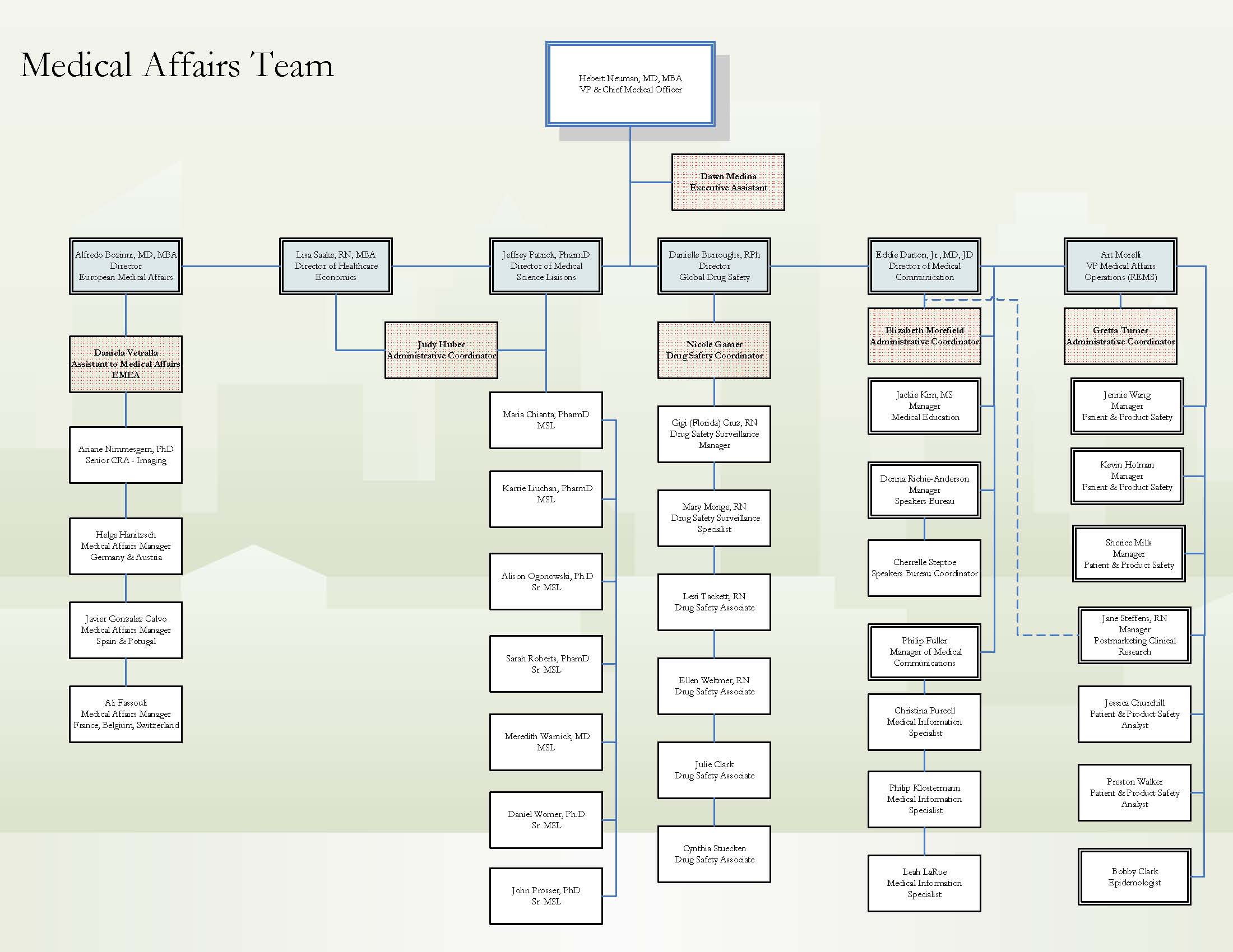 A flowchart that represents the medical affairs team. It is a visual representation of the organizational structure of a company or organization. The chart is divided into two sections with the top section representing the team members and the bottom section representing their respective roles and responsibilities.<br /><br />The first section is labeled "Medical Affairs Team" and has a list of names and their respective responsibilities. The names are written in black text on a white background. The responsibilities are listed in a table format with columns for each member's name position and other relevant information. The table also has a space for the team's name and contact information. <br /><br />At the top of the chart there is a blue box with the company name written in white text. Below the box there are two arrows pointing in opposite directions indicating the direction of the flow of information between the members. The arrows are labeled with the names of the members such as "Dr. John F. Kennedy" and "Dr." The chart also includes a legend that explains the meaning of each arrow.