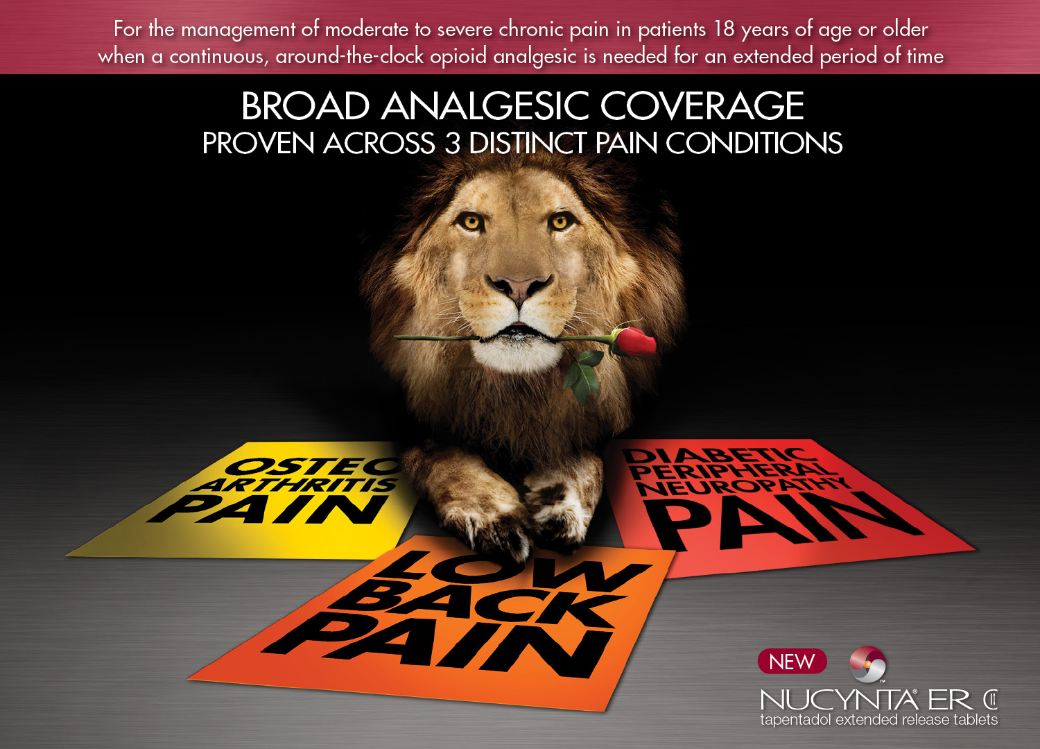 A digital poster with a black background. In the center of the poster there is a close-up of a lion's face with a red rose in its mouth. The lion's mane is a golden color and its eyes are a piercing yellow. The rose is a deep red color and is held in the lion's mouth. The text on the poster reads "Opioid Efficiency meets Unexpected Tolerability" and "For the relief of moderate to severe acute pain in patients 18 years of age or older". The logo of NUCYNTAC is also visible at the bottom center. The text on the image reads "Broad Analgesic Coverage Proven across 3 Distinct Pain Conditions". Below the lion there are three red and yellow signs with the words "Low Back Pain" written on them. The signs are arranged in a triangular formation. The background is black and there is a red banner at the top with white text that reads "For the management of moderate to severe chronic pain in patients 18 years of age or older when a continuous around-the-clock opioid analgesic is needed for an extended period of time".