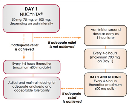 A flowchart that explains the steps involved in the treatment of NUCYNTA. It is divided into four sections.<br /><br />The first section is labeled "Day 1" and shows that 50 mg 75 mg or 100 mg depending on pain intensity. The second section is titled "Adequate relief is not achieved". The third section is labeled "Administrator second dose as early as 1 hour later". The fourth section is called "Every 4-6 hours thereafter (maximum 600 mg daily)". The fifth section is described as "Adjust and maintain dosing for adequate analgesia and acceptable tolerability".<br /><br />Each section has a brief description of the steps and a brief explanation of how they can be used to adjust and maintain the treatment. The first step is "If adequate relief is achieved" and the second step is labeled as "Advance relief is always achieved".