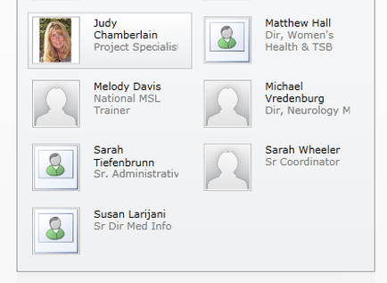 A screenshot of a table with six names and their respective profile pictures. The names are Judy Chamberlain Project Specialists Melody Davis National MSL Trainer Matthew Hall Dr. woman's Health & TSB Michael Vredenburg Dr. Neurology M Sarah Tiefenbrunn Sr. administrative and Susan armani. The table is divided into two columns with the left column listing Judy Chamberlain's name and the right column listing her name. The first column lists her name in bold letters at the top followed by her name and contact information. Below her name there is a brief description of her role as a project specialist. The second column lists the names of her colleagues including Matthew Hall and Matthew Hall. The third column lists Sarah Wheeler Sr. and the fourth column lists Susan harijan Sr and Dr. Med Info. Overall the image appears to be a list of people who have been selected for a project.
