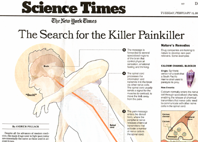 A newspaper article from The New York Times titled "The Search for the Killer Painkiller". The article is divided into two sections. The top section is titled "Science Times" and has a headline that reads "The search for the killer painkiller" in bold black font. Below the headline there is an illustration of a person's head and neck with their arms stretched out to the sides. The person appears to be in pain with a red line indicating the location of the pain.<br /><br />On the right side of the image there are several bullet points that explain the different types of painkillers and how they can be used to treat them. The bullet points are labeled with their names such as "Nature's Remedies" "Calcium Channel Blocker" and "Celestial Channel Blockers". There is also a small illustration of the brain and spinal cord which are also labeled with the names of the different painkillers. The image also includes a brief description of each type of painkiller and its benefits.