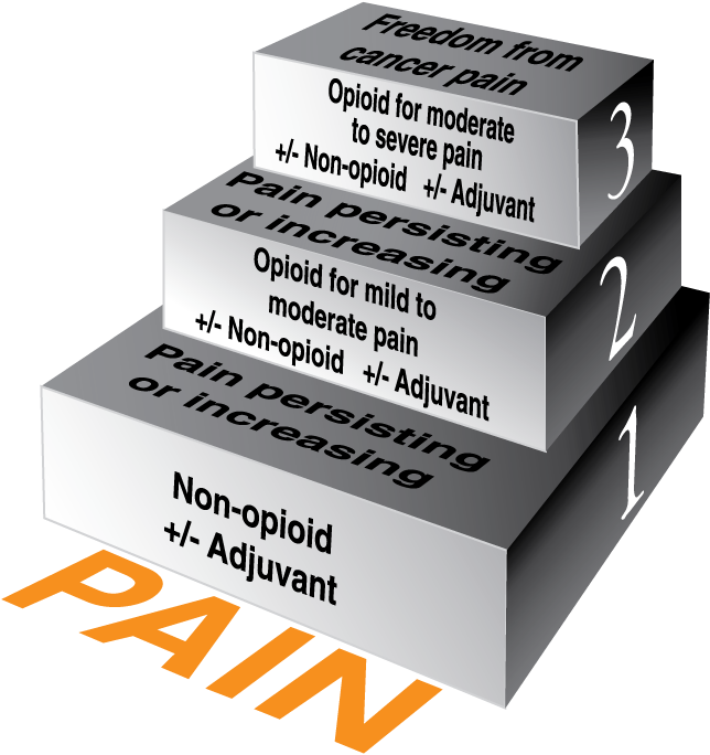 A stack of three white boxes with black text on them. The boxes are arranged in a pyramid-like structure with the top box being the largest and the bottom two boxes being the smallest. The text on the boxes reads "Freedom from cancer pain" and "Opioid for moderate to severe pain". The boxes also have the words "Pain persisting or increasing" written on them indicating that the image is related to the concept of pain. The background is black and there is an orange "PAIN" logo in the bottom right corner.