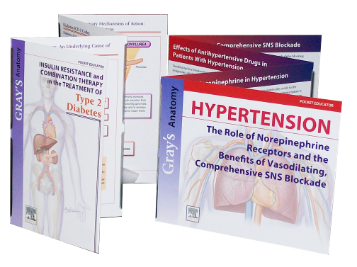 Three books titled "Hypertension: The Role of Norepinephrine Receptors and the Comprehensive SNS Blockade". The books are arranged in a row with the first book on the left side of the image. The cover of the book is purple and has an illustration of a human body with the title "Type 2 Diabetes" written in white text. The second book is white and has a title that reads "Insulin Resistance and Combination Therapy for Type 2 Diabetes". The third book is red and has the title and author's name written in black text. All three books appear to be related to the topic of hypertension.