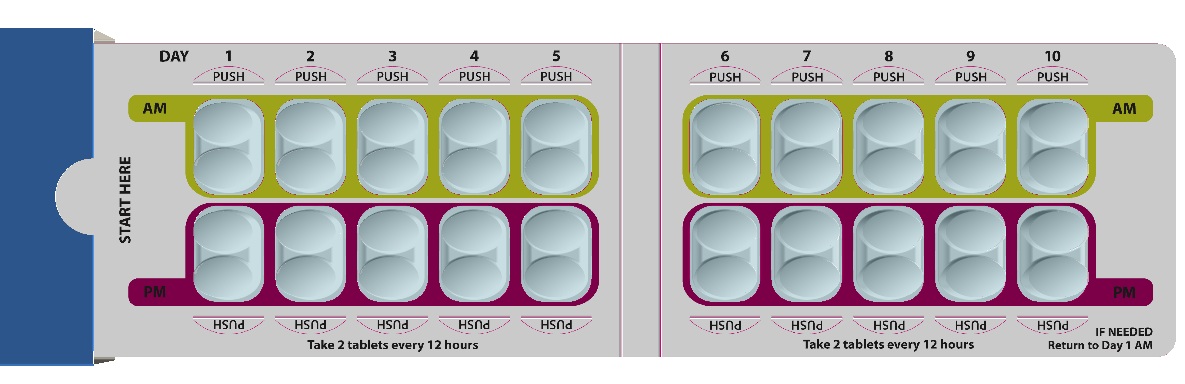 A diagram of an airplane seat layout. It shows two rows of seats one on the left side and the other on the right side. The seats are arranged in a grid-like pattern with each row having a different color scheme.<br /><br />The first row of seats is labeled "Day 1" "2" "3" "4" "5" "6" "7" "8" "9" "10" "11" "12" "13" "14" "15" "16" "17" "18" "19" "20" "21" "22" "23" "24" "25" "26" "27" "28" "29" "30" "31" "32" "33" "34" "35" "36" "37" "38" "39" "40" "41" "42" "43" "44" "45" "46" "47" "48" "50" "51" "52" "53" "54" "55" "56" "57" "58" "59" "60" "61" "62" "63" "64" "65" "66" "67" "68" "69" "70" "71" "72" "73" "74" "75" "76" "78" "79" "80" "81" "82" "83" "84" "85" "86" "87" "88" "90" "91" "92" "93" "94" "95" "96" "97" "98" "99" "100" "102" "104" "105" "106" "107" "108" "110" "111" "112" "113" "114" "115" "116" "117" "118" "120" "121" "122" "123" "134" "125" "126" "127" "128" "129" "130" "131" "132" "133" "140" "135" "166" "170" "172" "175" "176" "180" "190" "200" "220" "241" "260" "270" "240" "290" "300" "320" "350" "380" "390" "370" "400" "450" "480" "500" "550" "600" "650" "700" "750" "800" "900" "1000" "1100" "1200" "1500" "2000" "2500" "3000" "4000" "6000" "8000" "1000".