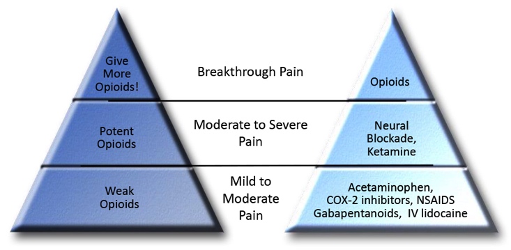 A pyramid-shaped diagram that represents the three levels of pain. The pyramid is divided into three sections each representing a different level of pain: "Give More Opioids!" "Breakthrough Pain" and "Opioids". <br /><br />The first section on the left side of the pyramid is labeled "Potent Opioid" which is a type of opioid. The second section is titled "Mild to Moderate Pain". The third section is labeled "Neural Blockade Ketamine". The fourth section is called "Acetaminophen COX-2 inhibitors NSAIDS Gabapentinoids IV lidocaine".<br /><br />There are three levels in the pyramid each with a different color - blue green and yellow. The blue level is labeled as "Weak Opioids" the green level is labeled as "Mold to Moderate" and the yellow level is marked as "Cox-2 inhibitor NSAIDs". The diagram also has a label that reads "Give more opioids!" which suggests that the image is meant to illustrate the different levels of inflammation and pain associated with each level.