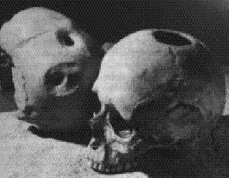 A black and white photograph of two human skulls. The skulls are placed side by side on a surface with one skull on the left and the other on the right. Both skulls appear to be old and weathered with visible signs of wear and tear. The skull in the left is slightly larger than the one in the right and both skulls have a small gap between them. The background is plain and dark making the skulls the focal point of the image.