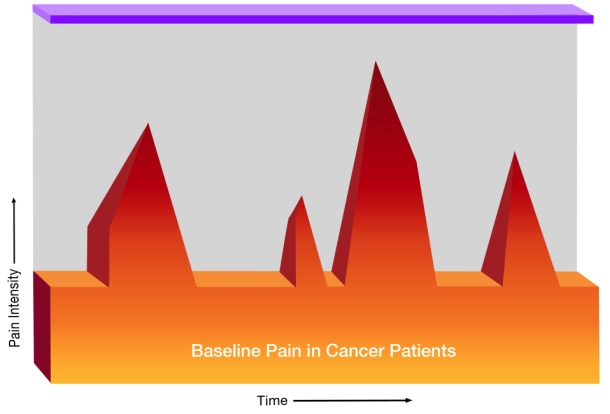 A graph that shows the baseline pain in cancer patients. The x-axis represents the time period while the y-axis indicates the pain intensity.<br /><br />The graph is divided into three sections each representing a different period of time. The first section is orange the second section is red and the third section is purple. The red section is slightly higher than the orange section indicating a decrease in pain intensity in the patient's pain. The purple section is lower than the red section. The graph also has a label at the bottom that reads "Baseline Pain in Cancer Patients".