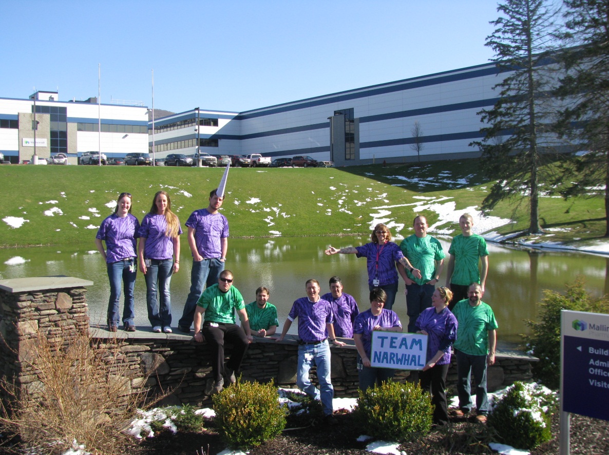 A group of people standing in front of a large building with a lake in the background. The building appears to be a large industrial complex with multiple floors and a flat roof. The sky is blue and there are trees and bushes surrounding the building. In the foreground there is a stone wall with a sign that reads "TEAM MARSHALL" and a few people sitting on it. The people in the group are wearing purple shirts and are posing for a photo. They are all smiling and appear to be happy and proud of their work.