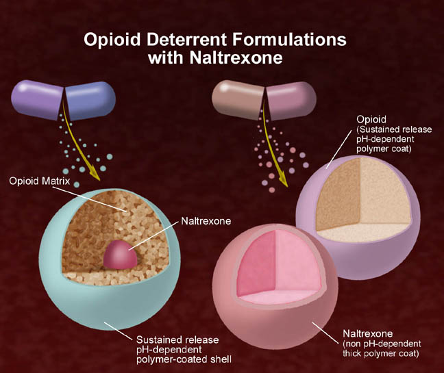 A diagram titled "Opioid Deterrent Formulations with Naltrexone". Beneath the title there is an illustration of two pill capsules being broken open with small circles spilling out of them. Below that it shows three spheres which appear to be the small circles from the above illustration only enlarged. Each sphere shows a different formulation of opioids Naltrexone and a polymer coat.