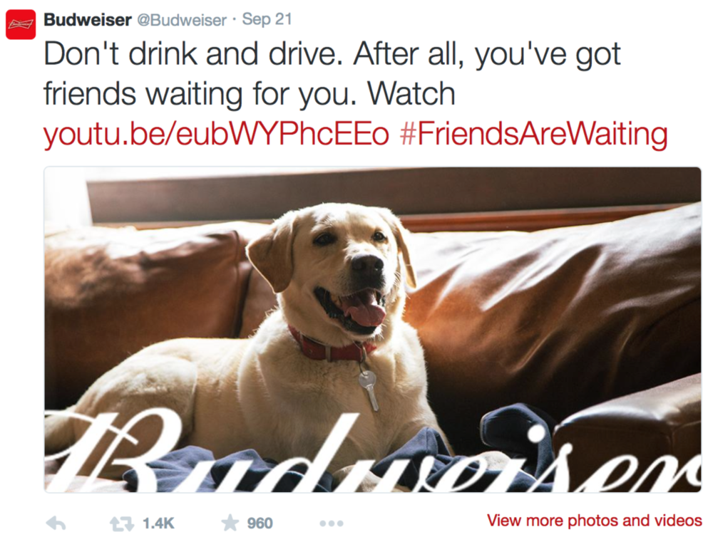 A screenshot of a tweet from Budweiser's Twitter account. The tweet reads "Don't drink and drive. After all you've got friends waiting for you. Watch youtube.be/eubWYPHCEEO #FriendsAreWaiting". The tweet is accompanied by a photo of a yellow Labrador Retriever dog lying on a brown leather couch. The dog is wearing a red collar and is looking directly at the camera with its tongue hanging out. The background is blurred but it appears to be a living room with a wooden floor and a window.