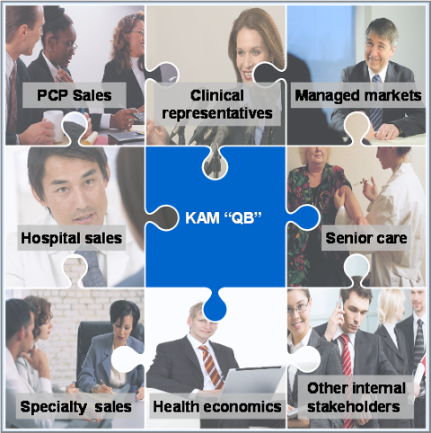 A collage of nine puzzle pieces arranged in a grid-like pattern. Each puzzle piece has a different image of a group of people in a business setting. <br /><br />The first puzzle piece on the top left shows a man in a suit and tie representing PCP Sales with the text "PCP Sales" above him. The second puzzle piece in the middle shows a woman in a white blouse and a man wearing a black suit representing Clinical representatives. The third puzzle piece shows a hospital sales person representing Hospital sales with text above them that reads "Clinical representatives" and "Managed markets". The fourth puzzle piece at the top right shows a senior care person represented by a woman with blonde hair and a blue background. The fifth puzzle piece below the puzzle piece reads "Specialty sales" and the sixth puzzle piece is titled "Health economics" and has text above it that says "Other internal stakeholders".<br /><br />Overall the image conveys the idea of a diverse group of professionals working together in a professional setting.