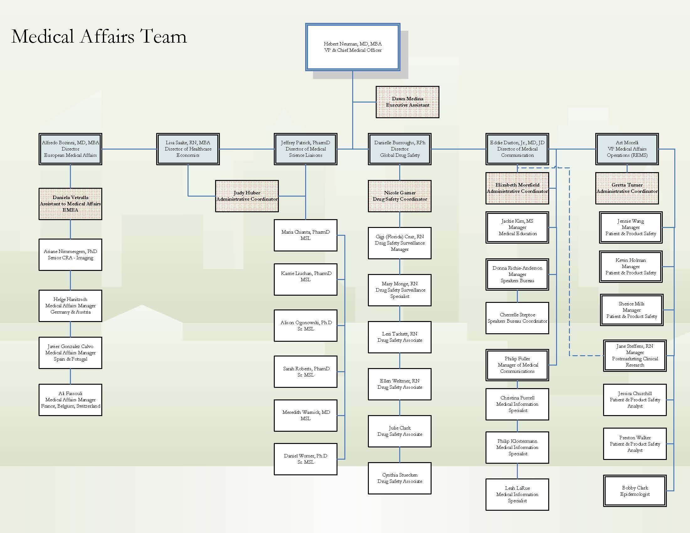 A flowchart that represents the medical affairs team. It is a visual representation of the organizational structure of a company or organization. The chart is divided into two sections with the top section representing the team members and the bottom section representing their respective roles and responsibilities.<br /><br />The first section is labeled "Medical Affairs Team" and has a list of names and their respective responsibilities. The names are written in black text on a white background. The responsibilities are listed in a table format with columns for each role. The first section has a brief description of the role while the second section has an overview of the responsibilities and responsibilities of each role such as the role of a doctor a nurse a patient and a medical professional. The third section has information about the team including their name contact information and other relevant details. The fourth section has details about their roles including the roles of the doctor the patient the medical professional and the medical team. <br /><br />Overall the chart is a useful tool for organizing and managing medical affairs in a professional and organized manner.