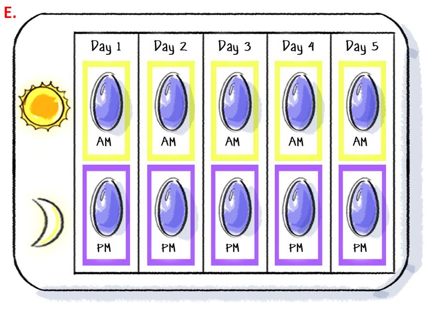 A calendar with twelve days of the week arranged in a grid-like pattern. Each day is represented by a blue oval with a yellow sun on the top left corner. The days are labeled with the corresponding date and time. <br /><br />The first day is Day 1 Day 2 Day 3 Day 4 Day 5 Day 6 Day 7 Day 8 Day 9 Day 10 Day 11 Day 12 Day 13 Day 14 Day 15 Day 16 Day 17 Day 18 Day 19 Day 20 Day 21 Day 22 Day 23 Day 24 Day 25 Day 26 Day 27 Day 28 Day 29 Day 30 Day 31 Day 32 Day 33 Day 34 Day 35 Day 36 Day 37 Day 38 Day 39 Day 40 Day 41 Day 42 Day 43 Day 44 Day 45 Day 46 Day 47 Day 48 Day 49 Day 50 Day 51 Day 52 Day 53 Day 54 Day 55 Day 56 Day 57 Day 58 Day 59 Day 60 Day 61 Day 62 Day 63 Day 64 Day 65 Day 66 Day 67 Day 68 Day 69 Day 70 Day 71 Day 72 Day 73 Day 74 Day 75 Day 76 Day 77 Day 78 Day 79 Day 80 Day 81 Day 82 Day 83 Day 84 Day 85 Day 86 Day 87 Day 88 Day 89 Day 90 Day 91 Day 92 Day 93 Day 94 Day 95 Day 96 Day 97 Day 98 Day 99 Day 100 Day 110 Day 111 Day 112 Day 115 Day 116 Day 117 Day 118 Day 130 Day 129 Day 140 Day 150 Day 151 Day 152 Day 153 Day 154 Day 156 Day 175 Day 176 Day 177 Day 178 Day 179 Day 190 Day 191 Day 192 Day 229 Day 230 Day 240 Day 235 Day 260 Day 270 Day 280 Day 261 Day 258 Day 287 Day 290 Day 301 Day 345 Day 306 Day 307 Day 318 Day 319 Day 320 Day 330 Day 340 Day 365 Day 370 Day 375 Day 390 Day 411 Day 407 Day 402 Day 413 Day 440 Day 445 Day 460 Day 505 Day 510 Day 610 Day 550 Day 620 Day 630 Day 650 Day 700 Day 750 Day 800 Day 850 Day 900 Day 1000 Day 1100 Day 1200 Day 1300 Day 1400 Day 1500 Day 1600 Day.