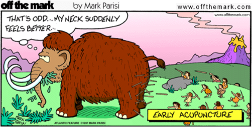 A cartoon illustration of a mammoth walking on a grassy field. A group of cavemen are in the background. They are throwing spears into the backside of the mammoth. The mammoth is brown in color and has a thought bubble above its head that reads "That's odd... My neck suddenly feels better."  The background shows a mountain range with a volcano erupting in the distance. The text on the image reads "Early Acupuncture." The comic is from the strip "Off the Mark" and was created by Mark Parisi.