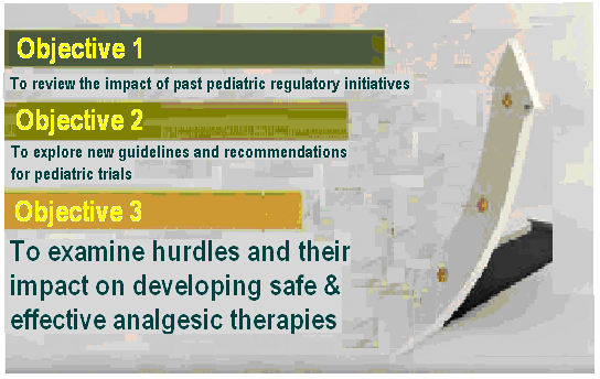 A slide from a presentation or presentation about the impact of past pediatric regulatory initiatives. It has a white background with a black and white illustration of a plane on the right side. The slide has three bullet points that explain the objectives of the presentation.<br /><br />The first bullet point is "Objective 1" and it is written in black text. The second bullet point reads "To review the impact" and is followed by "To explore new guidelines and recommendations for pediatric trials". The third bullet point says "To examine hurdles and their impact on developing safe & effective analgesic therapies".<br /><br />There is also a yellow banner at the bottom of the slide with the text "Objectives 2" written in white text.