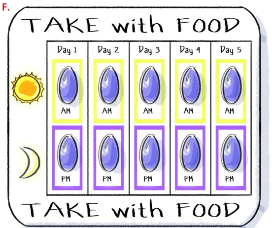 A calendar with the words "TAKE WITH FOOD" written at the top and bottom. The calendar is divided into six sections each with a different day of the week. The first section is labeled "Day 1" the second section is titled "Day 2" the third section is numbered "Day 3" the fourth section is labeled "Day 4" and the fifth section is marked "Day 5". Each section has a small illustration of a blue egg in the center. The egg is surrounded by a yellow sun and a crescent moon. The background of the calendar is white.