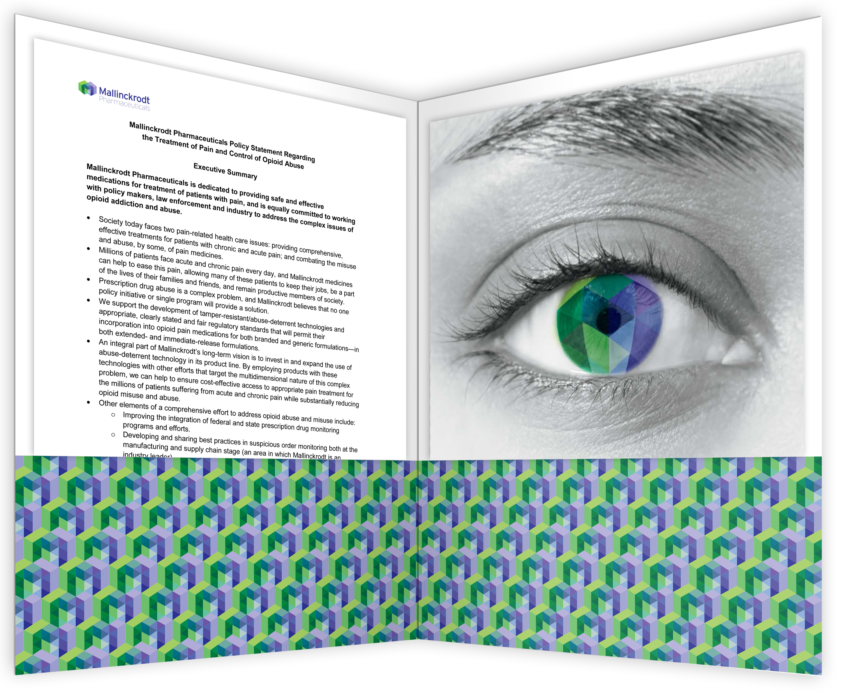 A tri-fold brochure or brochure design. The left side of the brochure has a white background with black text. On the right side there is a close-up of a person's eye with a blue iris. The iris is surrounded by a green and purple geometric pattern. The pattern appears to be made up of small squares and rectangles. The text on the left side is in black font and is divided into two sections.