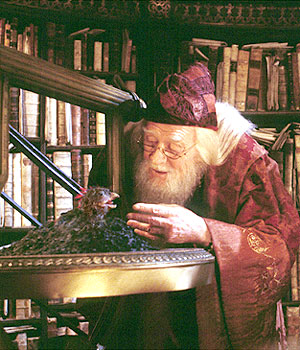 An elderly man with a long white beard and a red hat standing in front of a bookshelf filled with books. He is wearing a red robe and appears to be in a library or study. The man is holding a small bird in his hands and is looking down at it with a smile on his face. On the table next to him there is a black bird. The bird is perched on a metal tray with a bird feeder attached to it. The background is dark and the overall mood of the image is peaceful and serene.