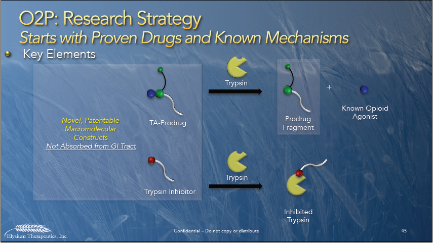 A slide from a presentation about the O2P research strategy that starts with proven drugs and known mechanisms. The slide has a blue background with white text that reads "O2P: Research Strategy Starts with Proven Drugs and Known Mechanisms Key Elements". <br /><br />On the left side of the slide there is a diagram that shows the key elements of the research strategy. The key elements are:<br /><br />- Novel Patentable Macromolecular Constructs<br />- Not Absorbent from Gl Tract<br />- T-Prodrugg<br />- Prodrup Fragment<br />- Known Opioid Agonist<br />- Trypsin<br />- Inhibited Triptycin<br /><br />The diagram is divided into four sections each representing a different element of the study. The first section is labeled "Trypsin" and shows a molecule with a green and blue color scheme. The second section is titled "Tryptin inhibitor" and has a red and yellow color scheme representing the inhibitor. The third section is labeled "Inhibited Triptysin".<br /><br />Overall the slide provides a visual representation of the strategy and its key elements.