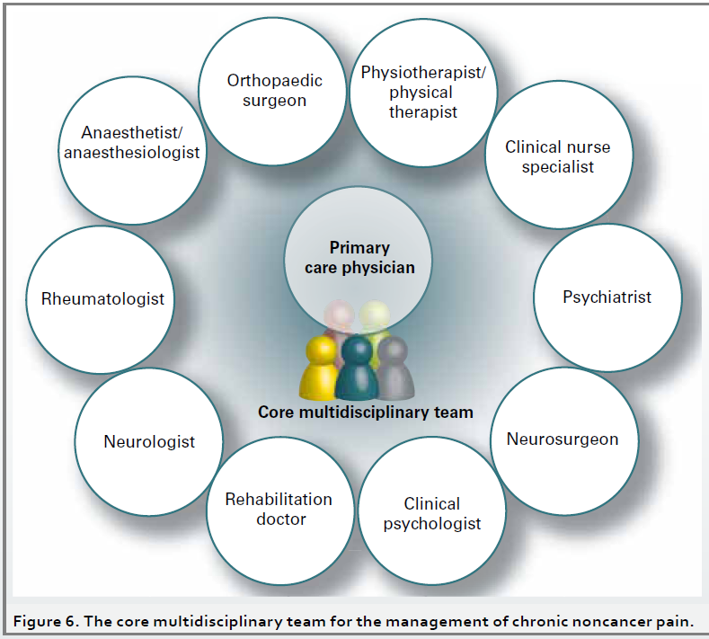 A circular diagram that represents the core multidisciplinary team for the management of chronic noncancer pain. It is divided into six sections each representing a different team member.<br /><br />The first section is labeled "Anaesthetist/anesthesiologist" and has a description of the team members. The second section is titled "Primary care physician" and is labeled as "Physiotherapist/physical therapist". The third section is labeled as "Clinical nurse specialist". The fourth section is named "Rheumatologist" and contains information about the team. The fifth section is described as "Neurologist" and includes information about neurosurgeon rehabilitation doctor clinical psychologist and neurosurgeons. The sixth section is highlighted as "Core multidisciplinary team".<br /><br />There are also two small figures in the center of the diagram one of a person with a yellow body and the other of a blue body. The figures are standing on a white background.