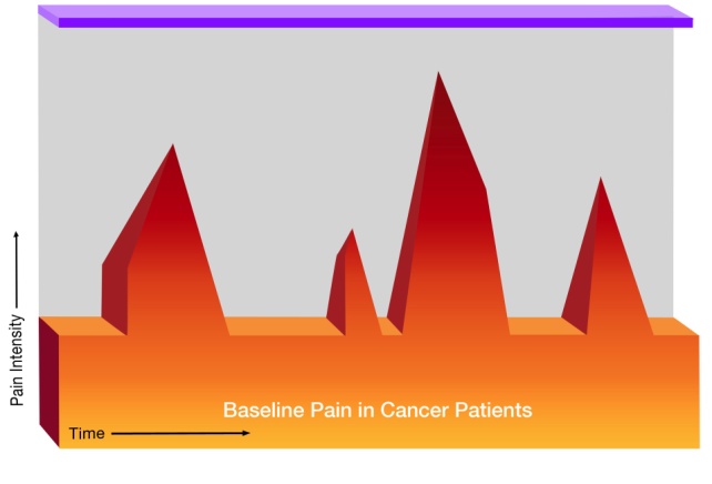 A graph that shows the relationship between baseline pain in cancer patients. The x-axis represents the time period while the y-axis indicates the pain intensity.<br /><br />There are three red bars on the graph each representing a different period of time. The bars are arranged in a vertical line with the highest bar at the top and the lowest at the bottom. The highest bar is labeled "Baseline Pain in Cancer Patients" and is colored in orange indicating that the pain is higher than the lowest. The graph also has a purple line on the top which is likely representing the intensity of the pain. The background of the graph is white and there is a label on the bottom right corner that reads "Pain Intensity".