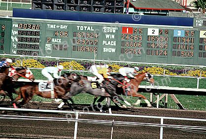 A horse race at a racetrack. There are several horses and jockeys on the track all wearing white and red racing suits. The horses are galloping towards the finish line. The track is surrounded by a fence and there are yellow flowers in the background.<br /><br />In the center of the image there is a large scoreboard displaying the time and total of the race. The scoreboard is green and has numbers and text on it indicating that the race is in progress. The numbers on the scoreboard are in red and white.<br /><br />The image appears to have been taken from a low angle looking up at the scoreboard. The sky is blue and the weather appears to be sunny and clear.