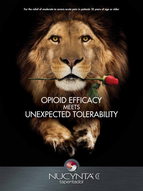 A digital poster with a black background. In the center of the poster there is a close-up of a lion's face with a red rose in its mouth. The lion's mane is a golden color and its eyes are a piercing yellow. The rose is a deep red color and is held in the lion's mouth. The text on the poster reads "Opioid Efficiency meets Unexpected Tolerability" and "For the relief of moderate to severe acute pain in patients 18 years of age or older". The logo of NUCYNTAC is also visible at the bottom center.