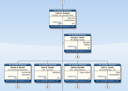 A flowchart that shows the organizational structure of a company named Larry R. downed. The flowchart is divided into six sections each representing a different company. The first section is labeled "Larry R. dowry" and has a list of names and their respective positions. The names are arranged in a hierarchical manner with the first section on the top left corner and the second section in the middle. The first section has a table with the names of the companies and their positions while the third section has the names and positions of the other companies. There are also two boxes on the right side of the flowchart one labeled "Executive Administration" and the other labeled "John C. Jacobs". The first box has the company's name and contact information and the last box has a description of the company and its position. The second box has an image of a person's name and there is a link to a website or app that provides further information about the company.