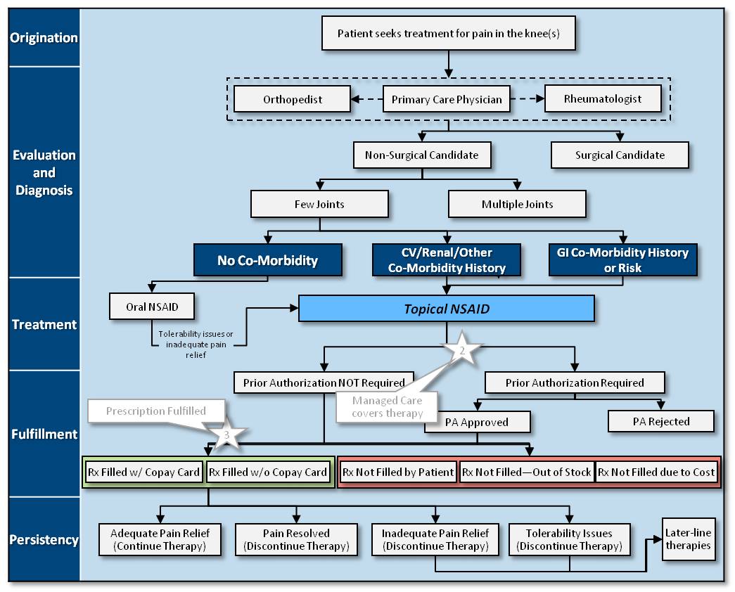 A flowchart that shows the organizational structure of a patient's treatment plan. It is divided into different sections each representing a different step in the treatment process.<br /><br />The first section is labeled "Evaluation and Diagnosis" and shows the different stages of the treatment. The first step is "Orthopedist" which is the first step in treatment for pain in the knee. The second step is titled "Primary Care Physician" which represents the primary care physician. The third step is called "Non-Surgical Candidate" which means that the patient is a non-surgical candidate. The fourth step is labeled as "Multiple Joints" and represents multiple joints. The fifth step is described as "Other Co-Morbidity History or Risk".<br /><br />There are also several other steps in the flowchart such as "Treatment" "Fulfillment" and "Persistence". These steps are likely related to the treatment plan as indicated by the text at the bottom of the image. The flowchart also includes a note that reads "Prior Authorization Not Required" and "PA Approved".